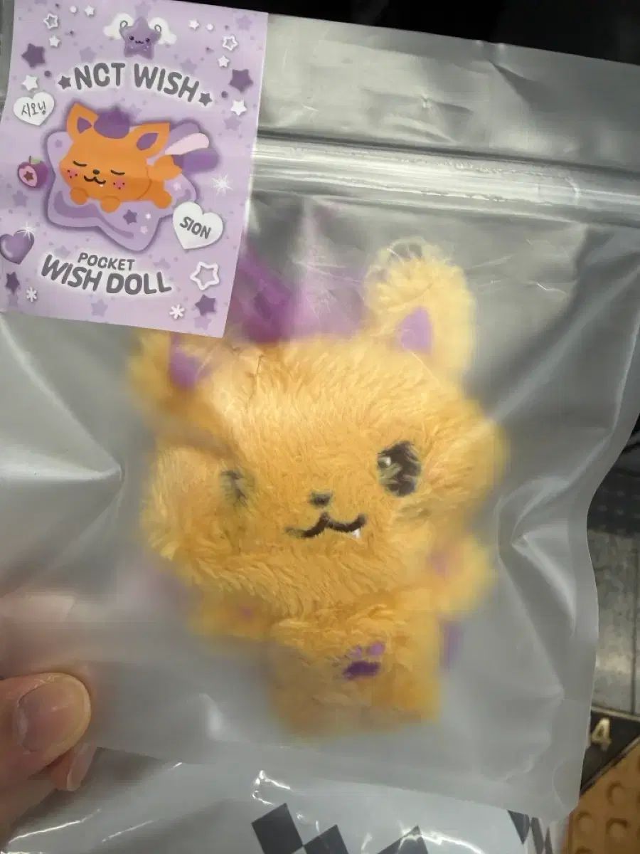(未開封) NCT WIND AND WISH ベイカーリー ポケット WIND AND WISH ドール シオン シオニング 出品 4,457円