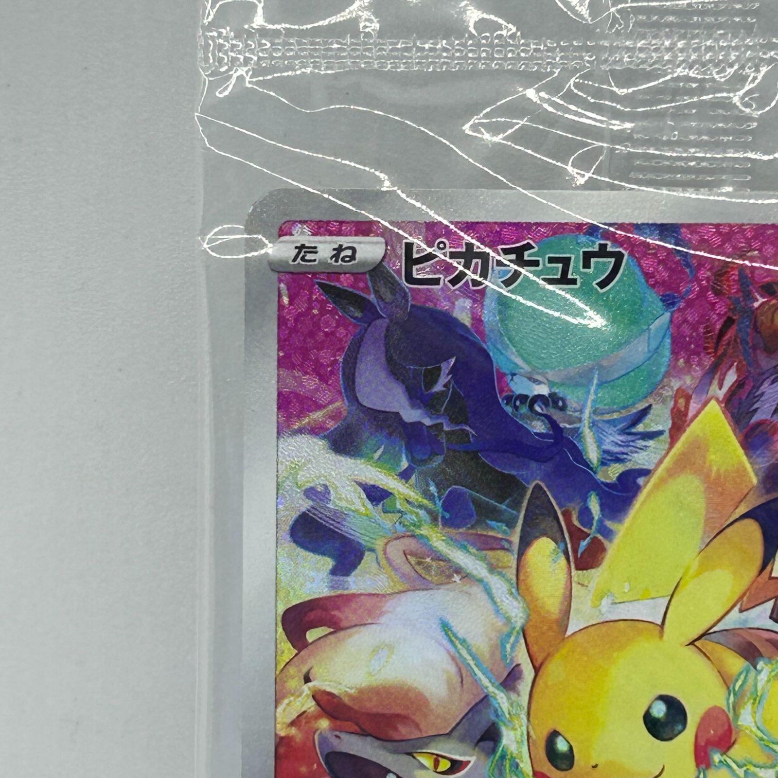 送料無料 未開封品 ポケモンカード プレシャスコレクターボックス