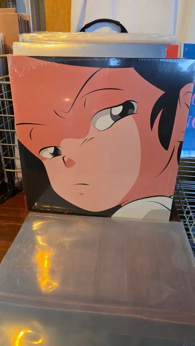 安土井 lp catnip 未開封 新品