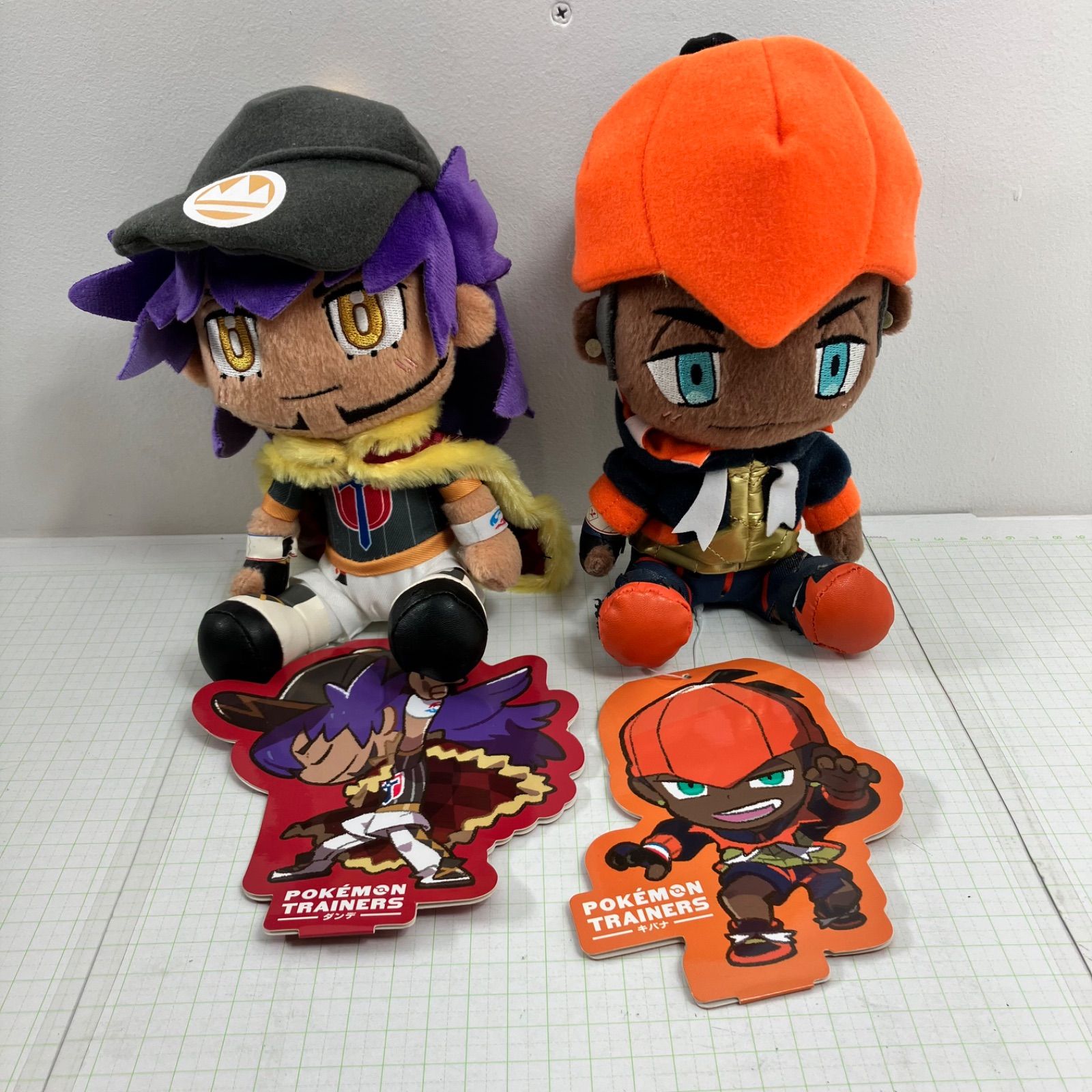 瀬戸店】タグ付き ダンデ・キバナ ぬいぐるみ 各1点合計2点セット