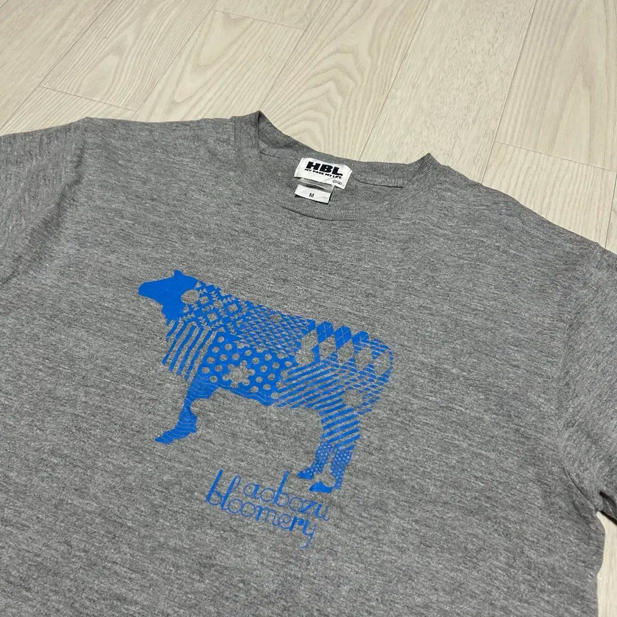 M 青坊主 バンドライブグッズ バンドTシャツ グレー
