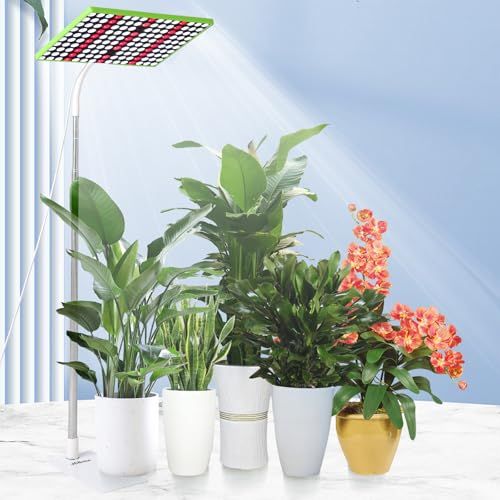 JCBritw 100W 植物育成ライトスタンド付き 自立式 フロア LED植物ライト背の高い植物用 室内栽培 苗木栽培 顕花植物栽培向け水耕栽培ランプ 野菜工場 植物栽培工場 温室/園芸に適用as cd2ed58d