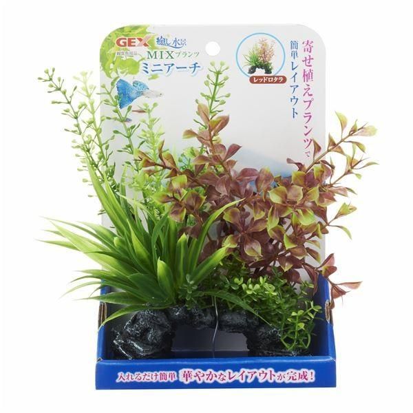 （まとめ）癒し水景 MIXプランツ ミニアーチ レッドロタラ〔×3セット〕