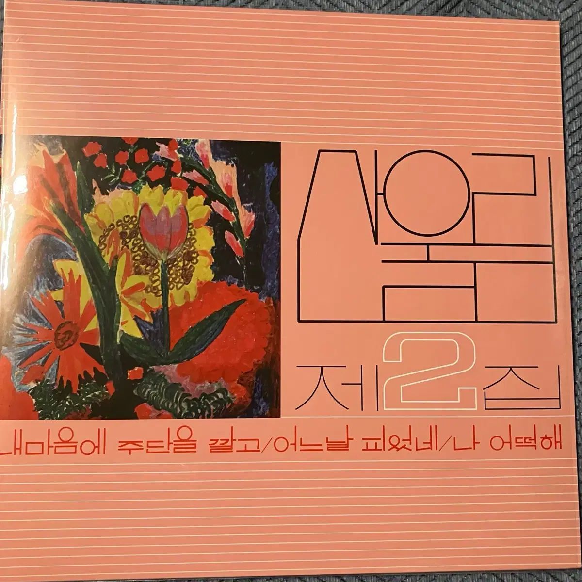 マウンテンユーリム ぼくの 2 家 （ 2025 年 再発行 COLOR LP ）