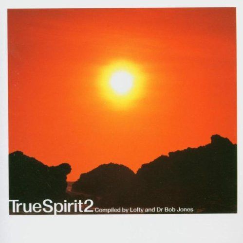 【CD】Vol. 2-True Spirist 4,364円