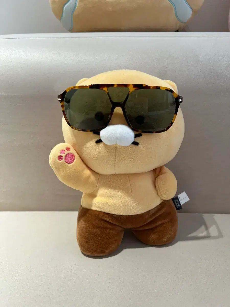 Persol Madreterra メガネフレーム