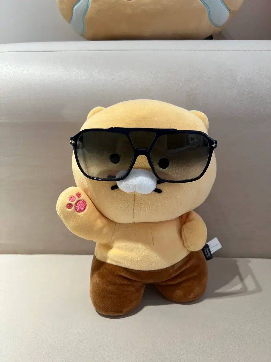 Persol メガネフレーム