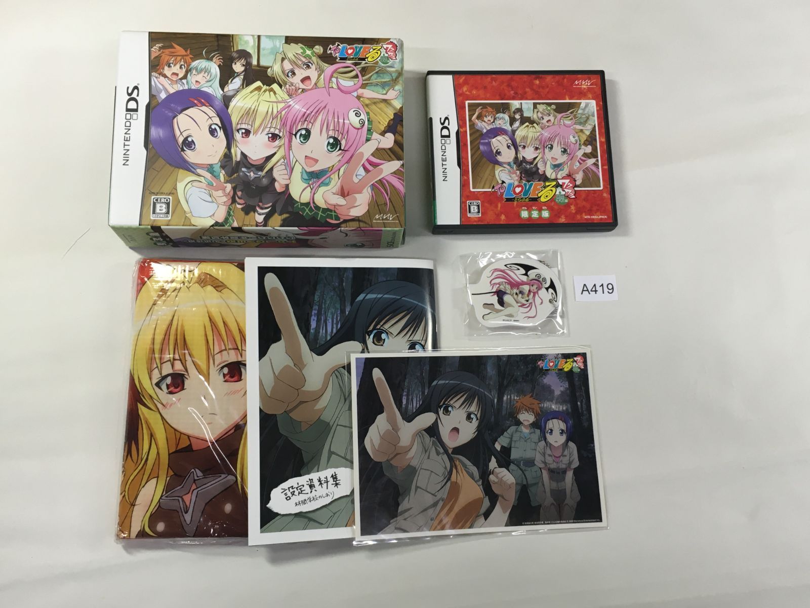 ToLOVEる -とらぶる- ワクワク林間学校編 限定版 DS【A419】