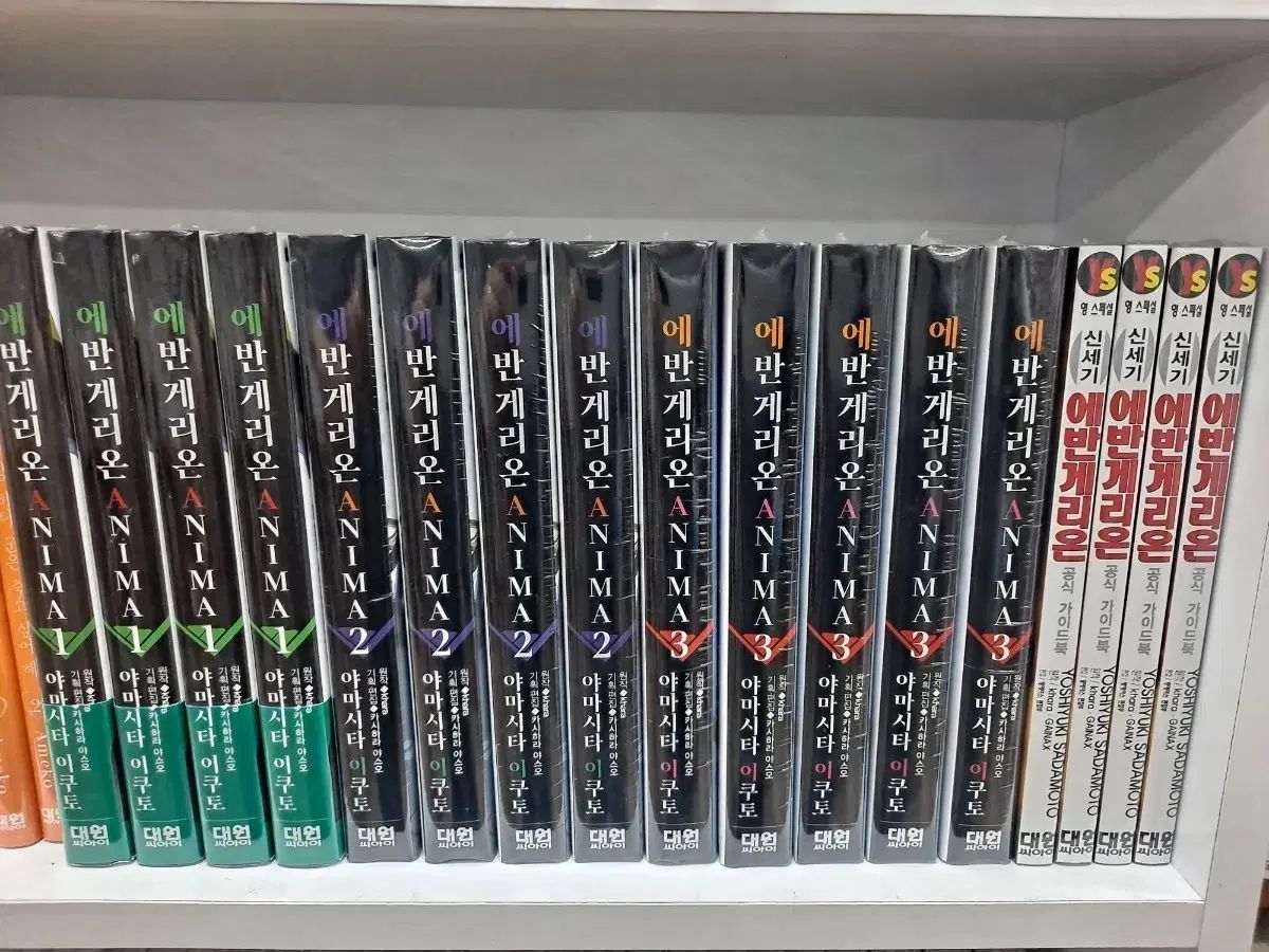 エヴァンゲリオン ANIMA 0 : | HOBBY (DENGEKI エヴァンゲリオンANIMA 