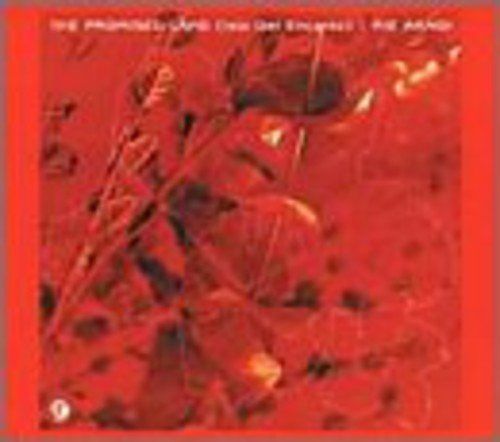 【CD】THE PROMISED LAND(Isla Del Encanto)