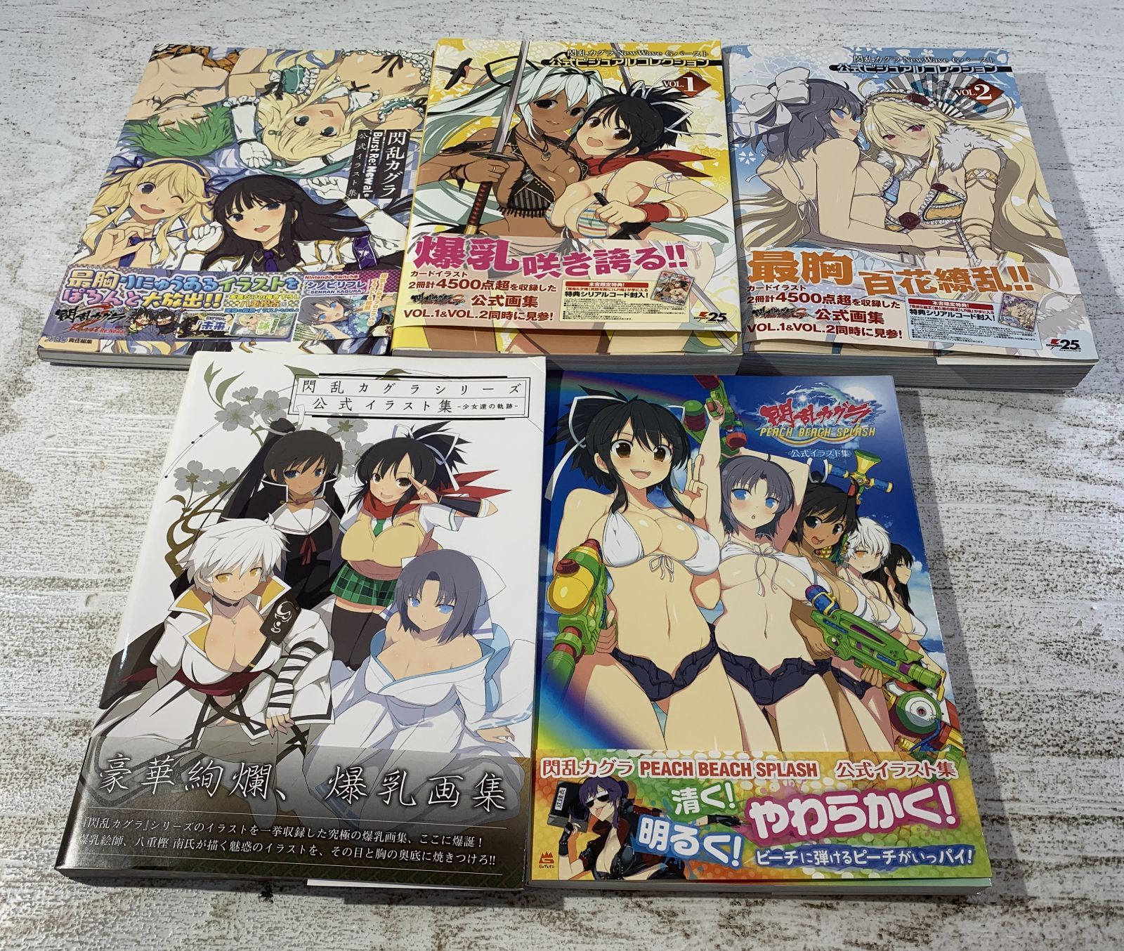 [紫波4-7-0520]書籍 閃乱カグラ 公式イラスト集 公式ビジュアルガイド 5冊セット