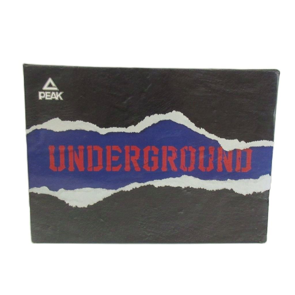 ピーク PEAK Taichi Flash 1.0 Underground バスケットボールシューズ