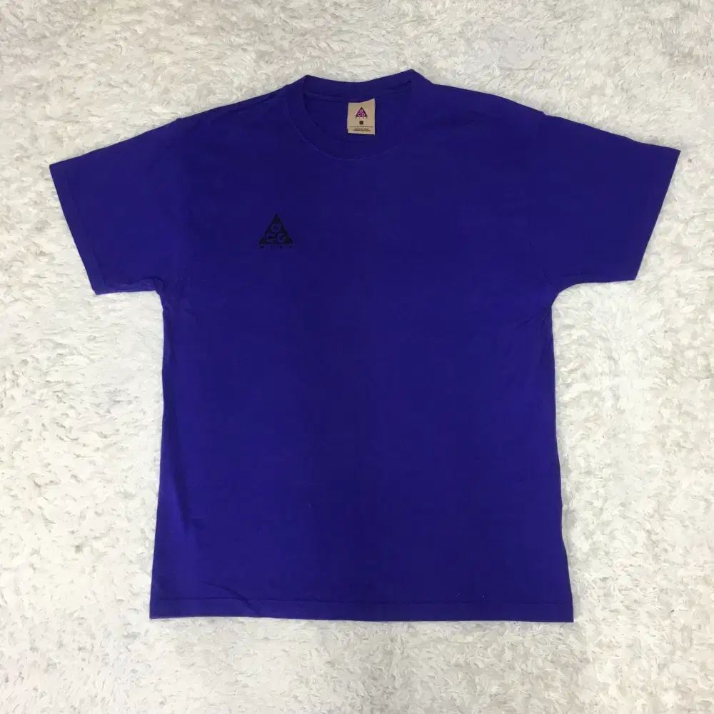 ナイキ ACG 半袖T EE20