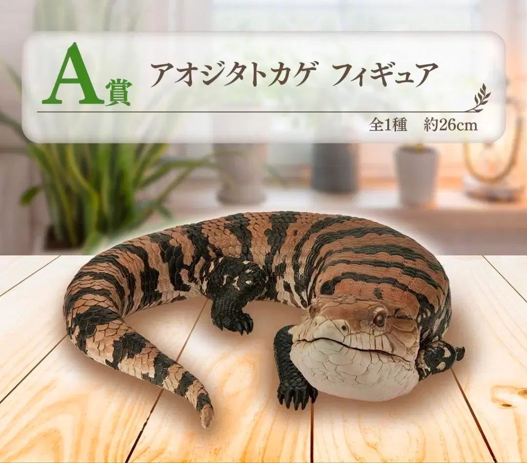 一番くじ Tiny Friends Vol 2 A賞 ブルー텅스 (トカゲ)