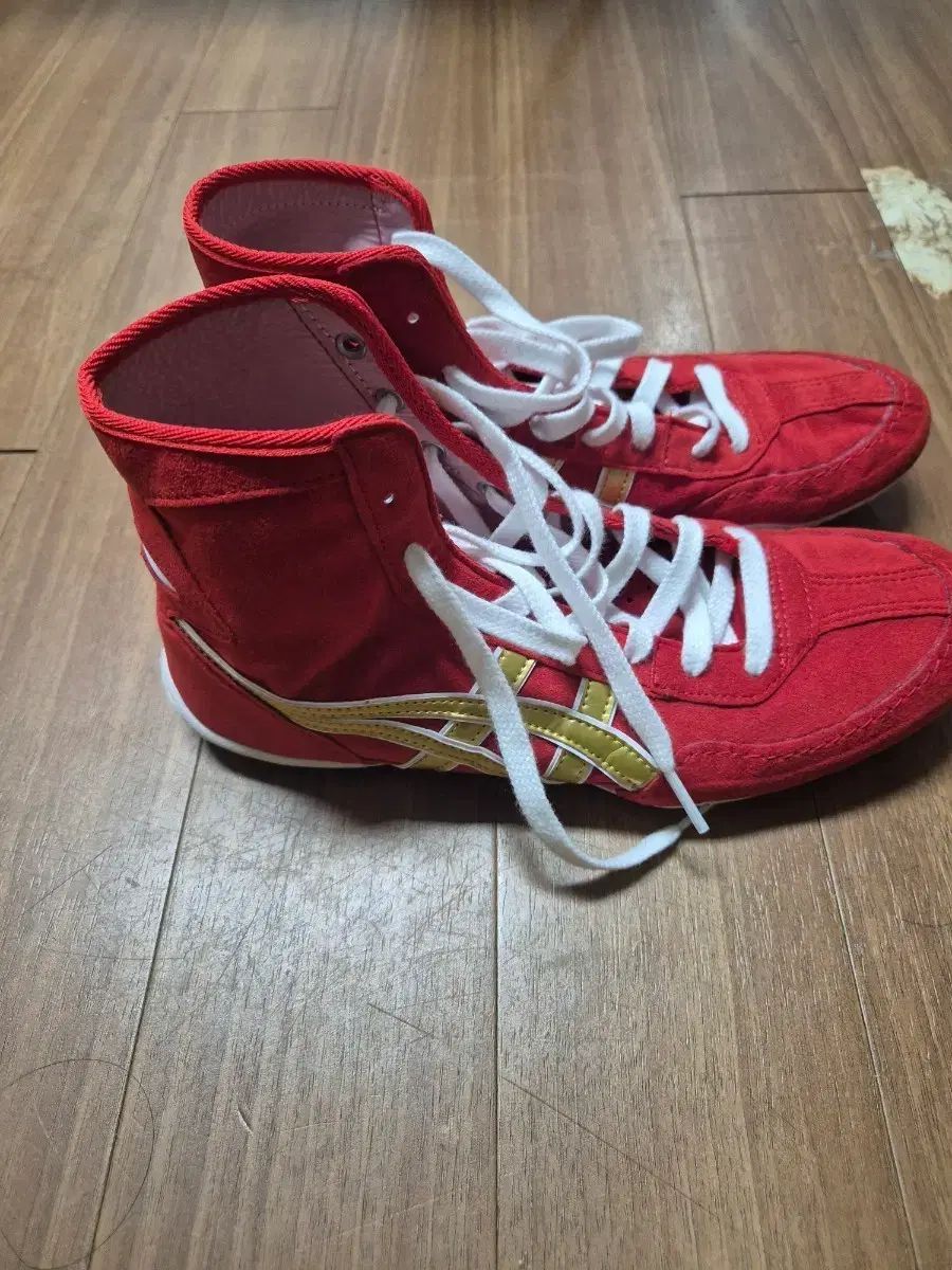 レスリング 靴 ハンドメイド 250