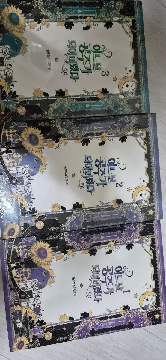 ある日、お姫様になってしまった件について 小説 1 2 3巻 セット