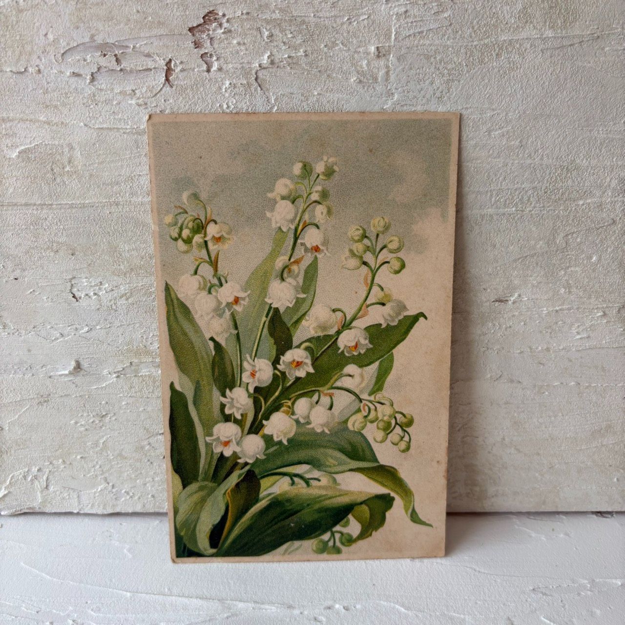 フランスアンティークポストカード｜鈴蘭の花束 スズランの植物画