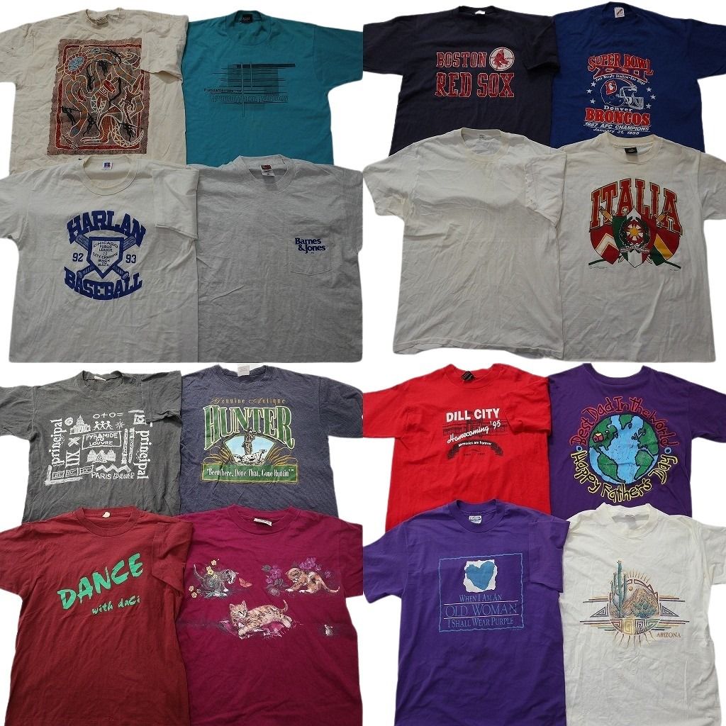 古着卸 まとめ売り ヴィンテージ シングルステッチ Tシャツ 16枚セット ( メンズ L ) ラッセル ジャージーズ アニマル MLB 中古古着 NE8402