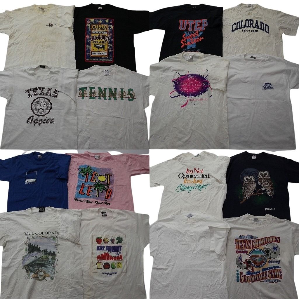 古着卸 まとめ売り ヴィンテージ シングルステッチ Tシャツ 16枚セット ( メンズ L ) アニマル 動物 プロチーム NFL 中古 古着 NE8404