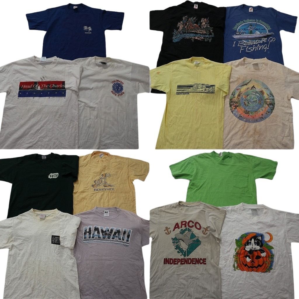 古着卸 まとめ売り ヴィンテージ シングルステッチ Tシャツ 14枚セット ( メンズ M ) ジャージーズ アニマル 動物 中古 古着 NE8409