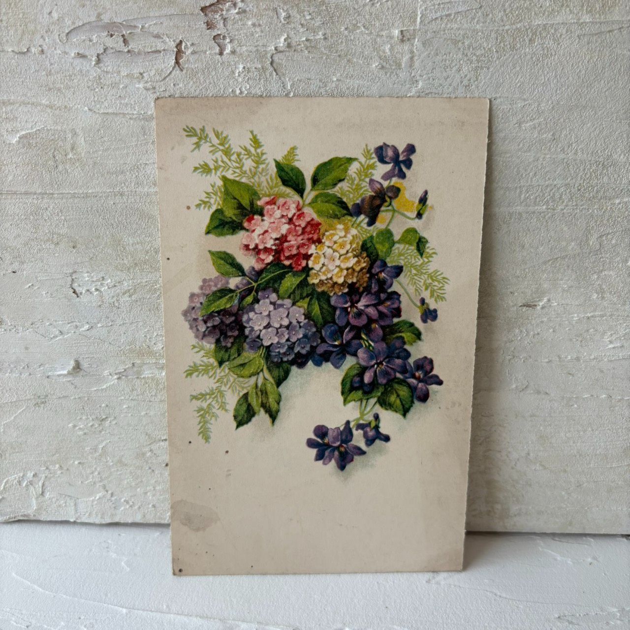 French antique postcard | violet and bouquet botanical picture card purple flower pattern