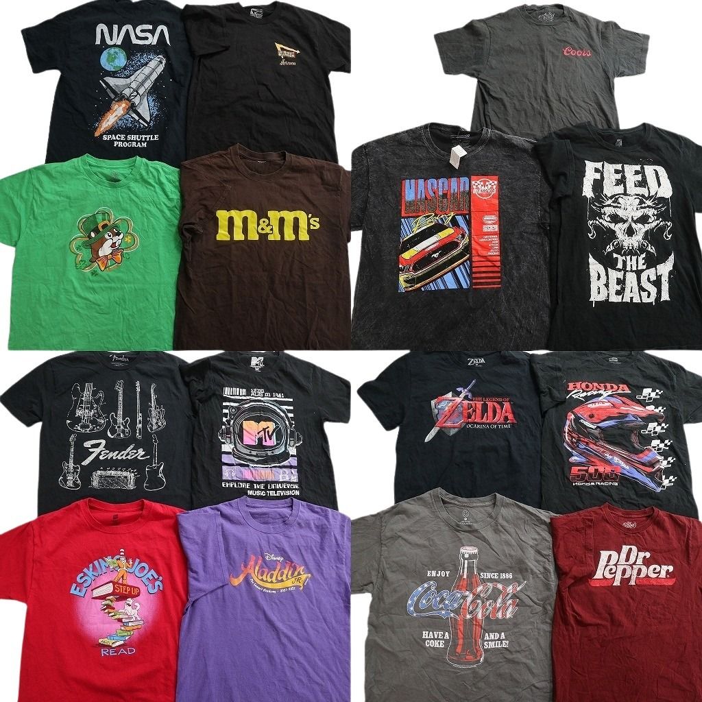 古着卸 まとめ売り 企業 Tシャツ 15枚セット ( メンズ M ) バッキーズ NASA HONDA エスキモージョーズ NASCAR 中古 古着 NE8502 14,976円