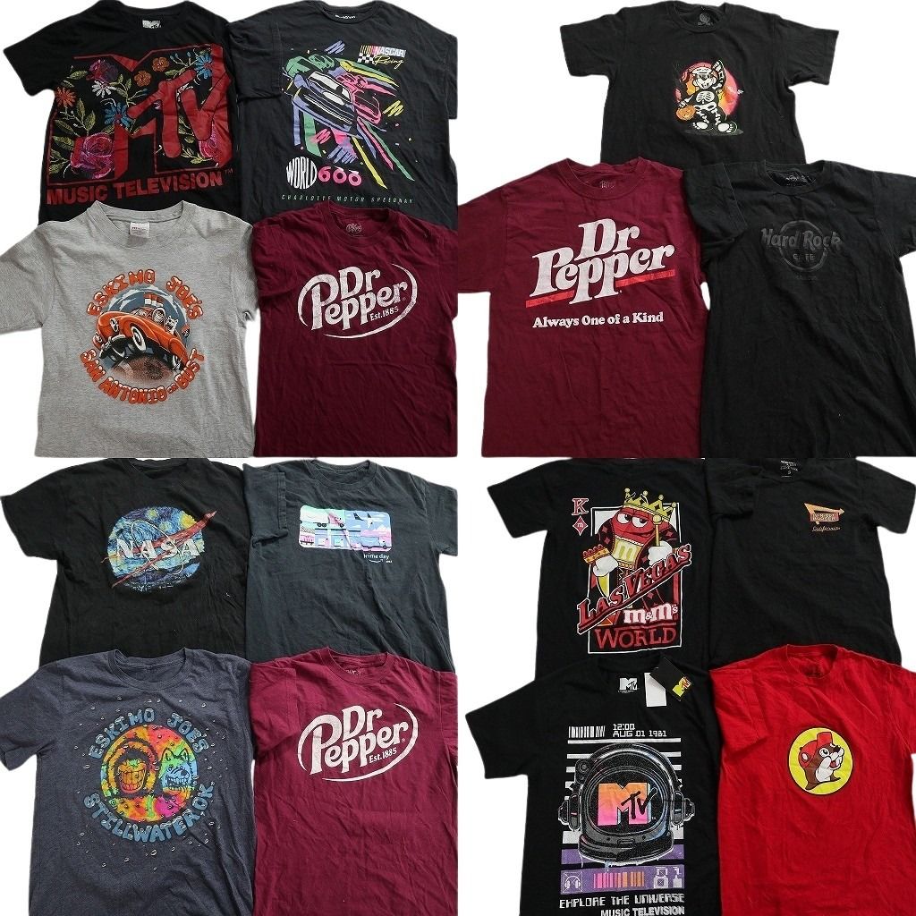 古着卸 まとめ売り 企業 Tシャツ 15枚セット ( メンズ XS/S ) NASCAR エスキモージョーズ バッキーズ NASA 中古 古着 NE8506