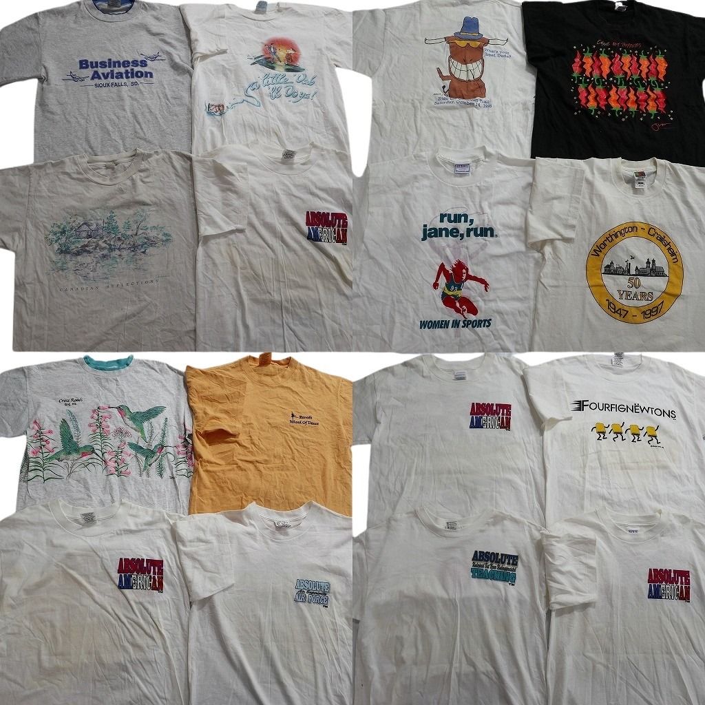古着卸 まとめ売り ヴィンテージ シングルステッチ Tシャツ 16枚セット ( メンズ L ) アニマル 動物 フルーツオブザルーム 中古古着 NE8520 13,950円
