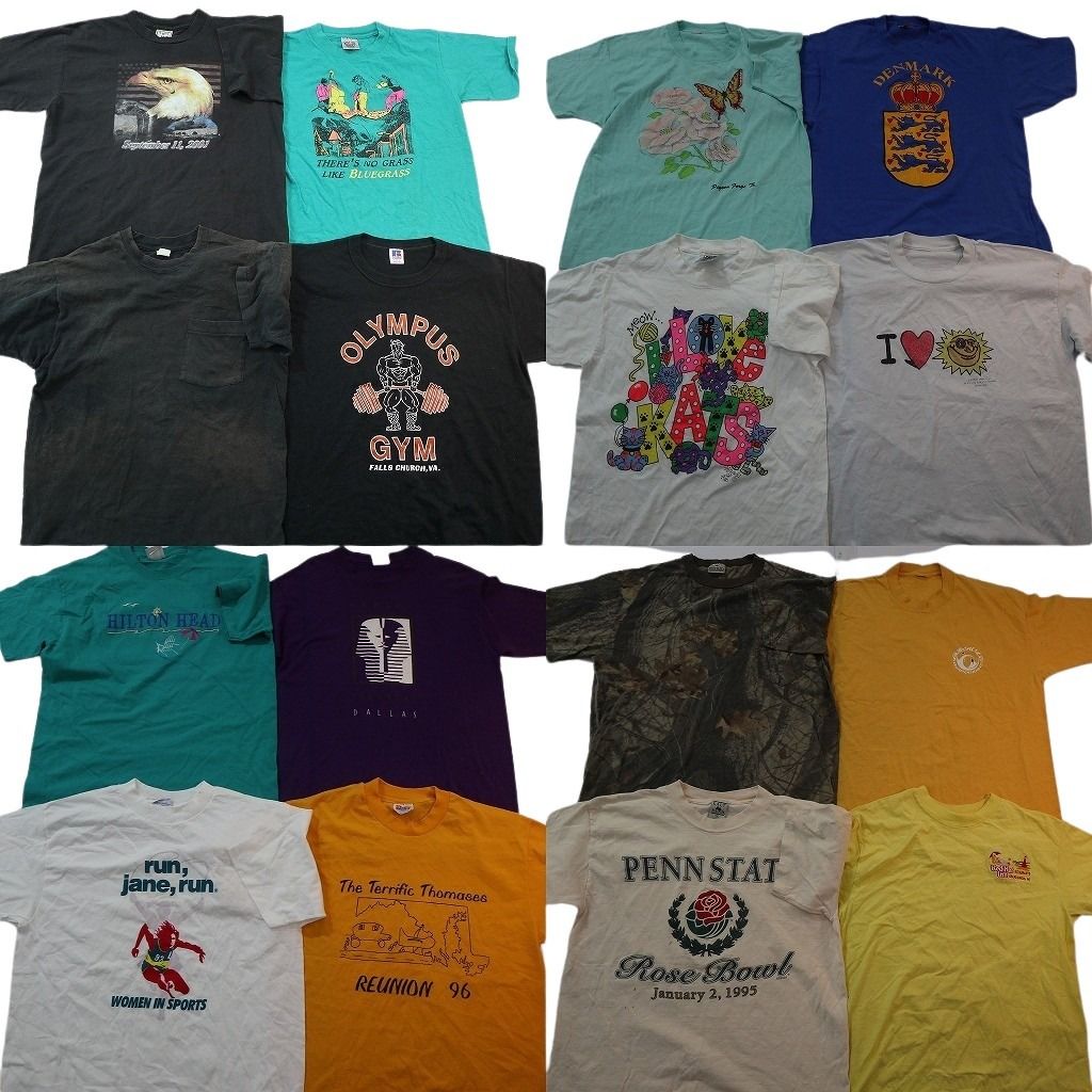 古着卸 まとめ売り ヴィンテージ シングルステッチ Tシャツ 16枚セット ( メンズ L ) ラッセル フルーツオブザルーム 中古 古着 NE8555