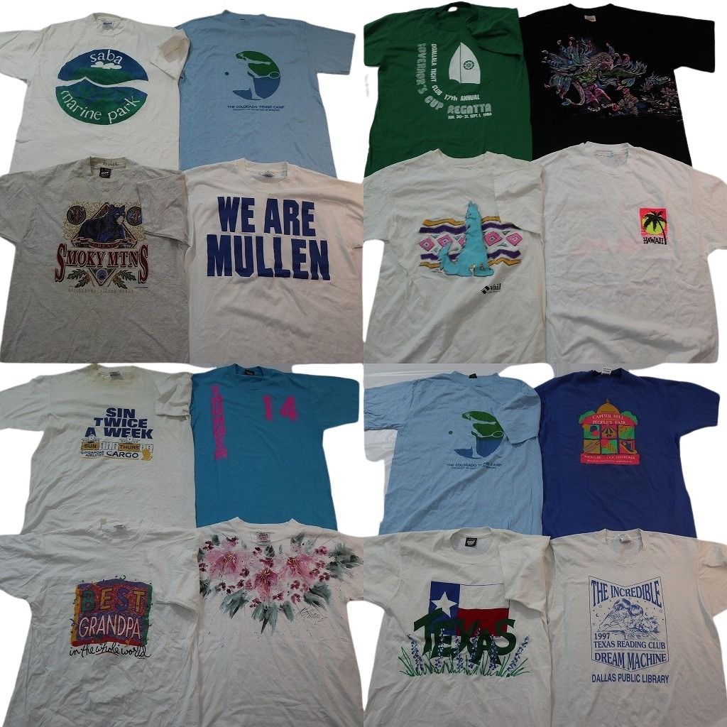 古着卸 まとめ売り ヴィンテージ シングルステッチ Tシャツ 16枚セット ( メンズ L ) フルーツオブザルーム ヘインズ 中古 古着 NE8556