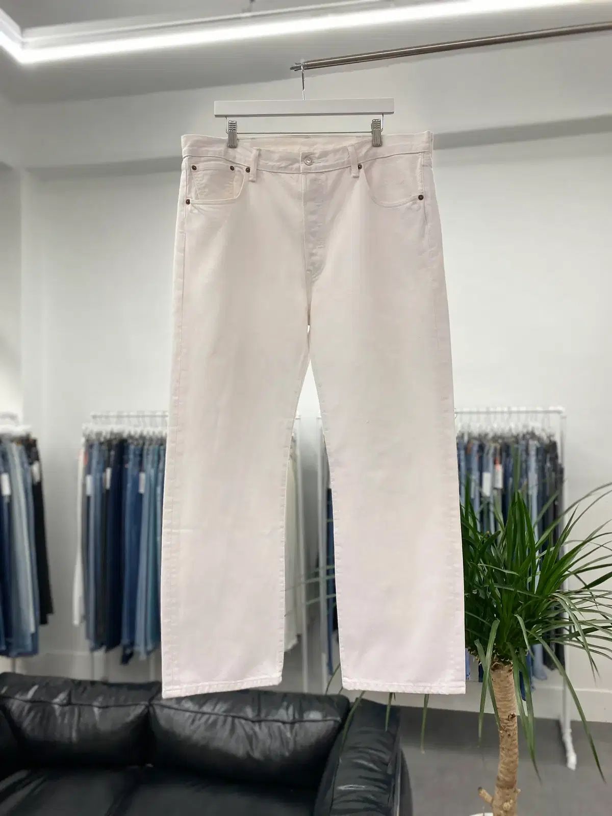 DIVE JAPAN FC 長期継続 特典-指定販売店