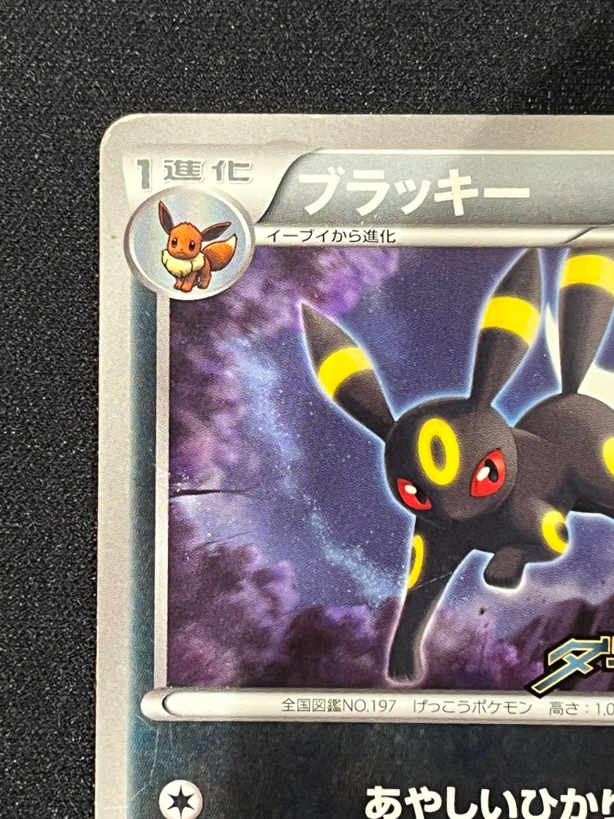 ブラッキー PROMO ダークラッシュ 115/BW-P コンプオフ【ファボPK2850 