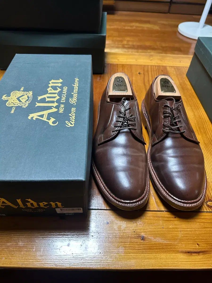 ALDEN オールデン 99020 コードバン ラベロ COLOR 8 5D (265-270) レアカラー