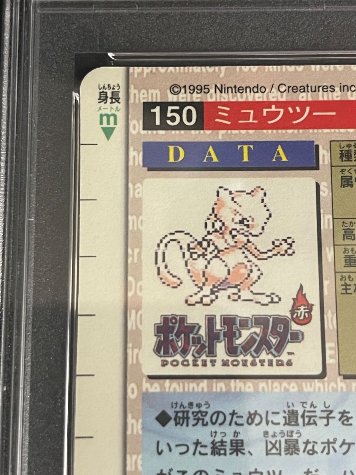 ポケットモンスターカードダス 1996年 ミュウツー プリズム 緑背景