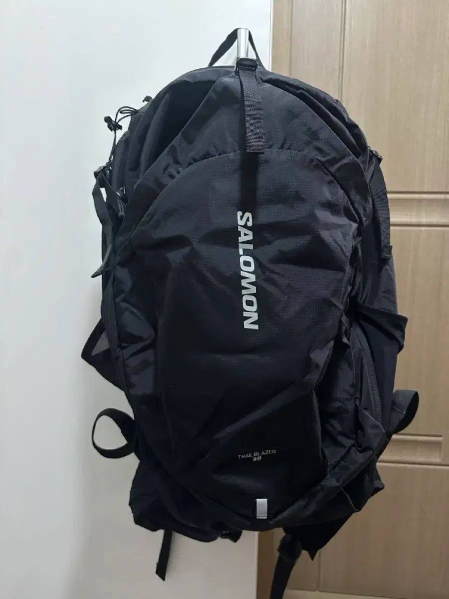 SALOMON サロモン トレイル ブレザー 30 バックパック