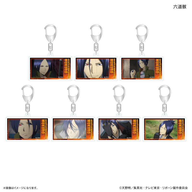 カルチュア・エンタテインメント】家庭教師ヒットマンREBORN！ だけ