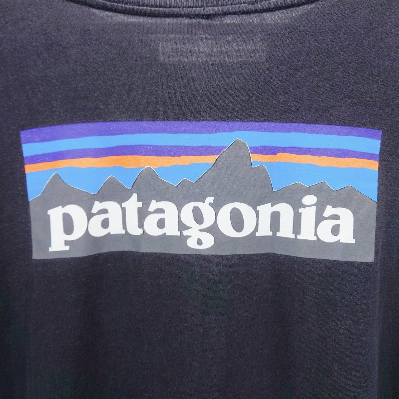 Patagonia パタゴニア 半袖Tシャツ M ブラック 黒 バックロゴ P-6ロゴ 