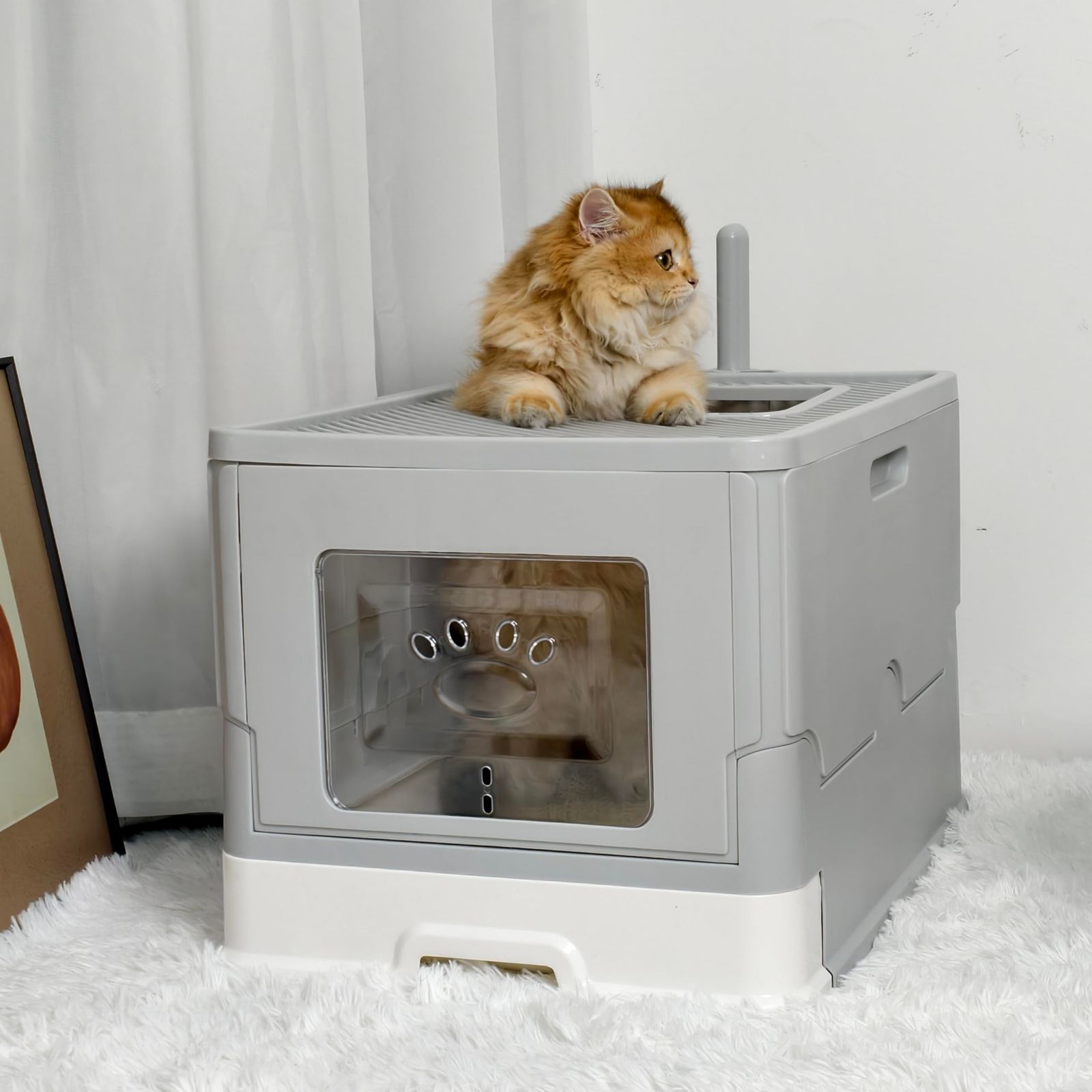 BingoPaw 大型猫トイレ本体 上から入る フルカバー キャットトイレ 蓋付き 引き出し 砂が飛び散らない 屋根付き 大きいサイズ おしゃれ フード付き ワイド コーナー 折りたたみ 扉付き 臭わない 密閉 箱型 グレー 掃除しやすい 成 f7f79c24