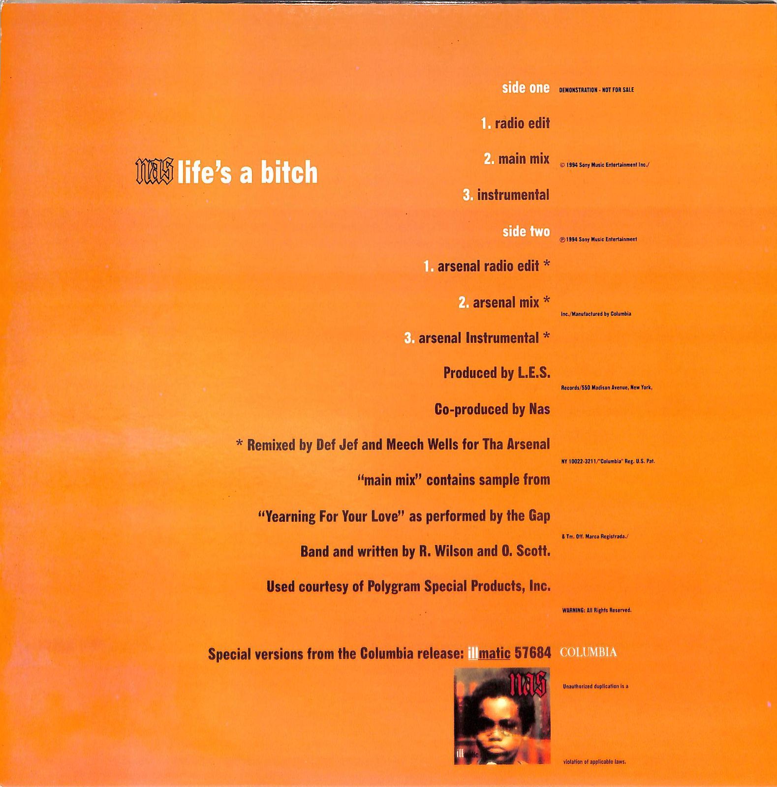 12インチ1枚 / NAS / Lifes A Bitch / A00623767 - メルカリ