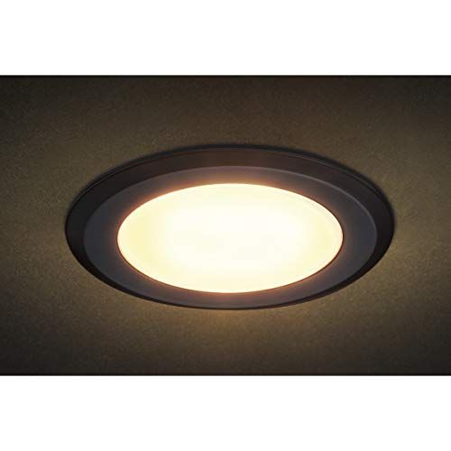 新品 スガツネ工業(Sugatsune Kogyo) 220024167 LEDスリムライト SL-RU2-100-WLR-BL 11,785円