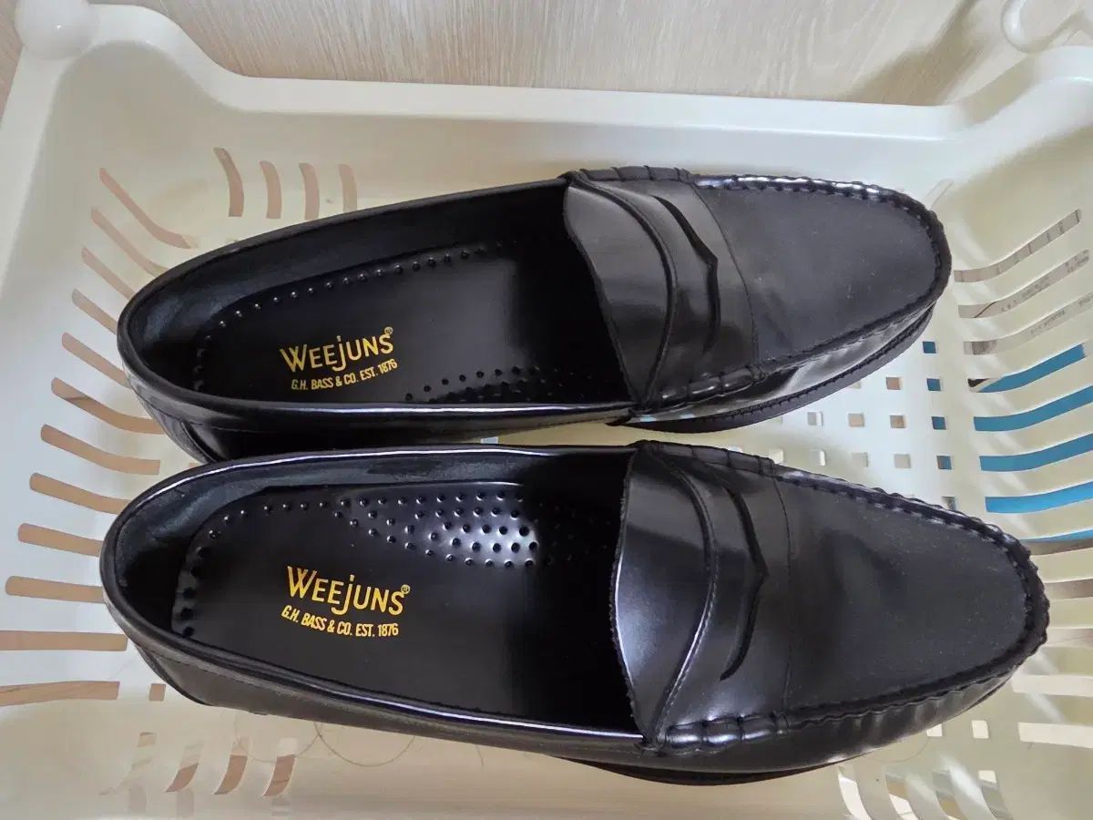バス ウィジュン 270 出品