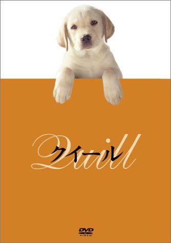クイール／崔洋一