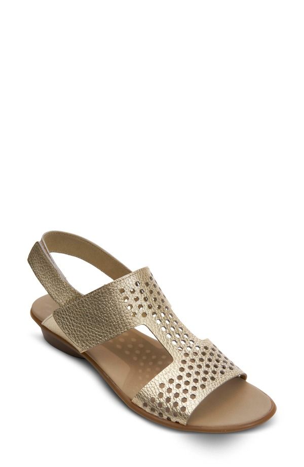 セストメウッシー レディース シューズ ヒール サンダル Sesto Meucci Elicia Slingback Sandal Platino