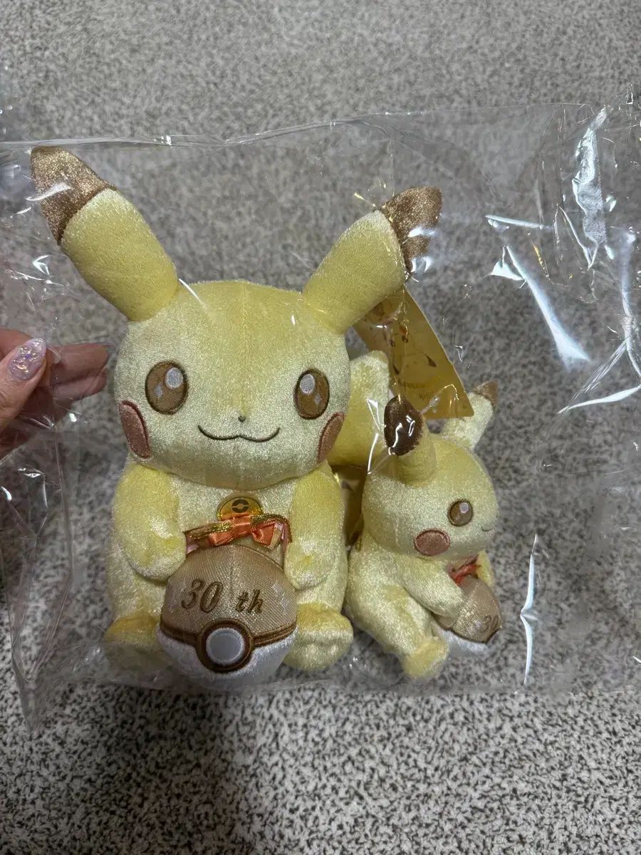 ポケットモンスター ピカチュウ 30周年 ぬいぐるみ+キーホルダー