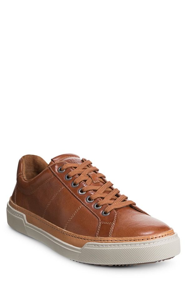 アレン エドモンズ メンズ シューズ スニーカー Allen Edmonds Porter City Sneaker Walnut