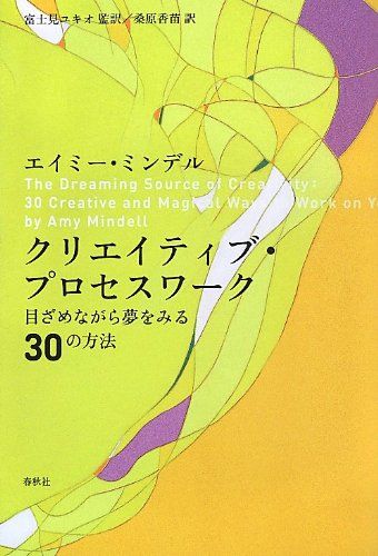 クリエイティブ・プロセスワーク　目ざめながら夢をみる30の方法／A. ミンデル