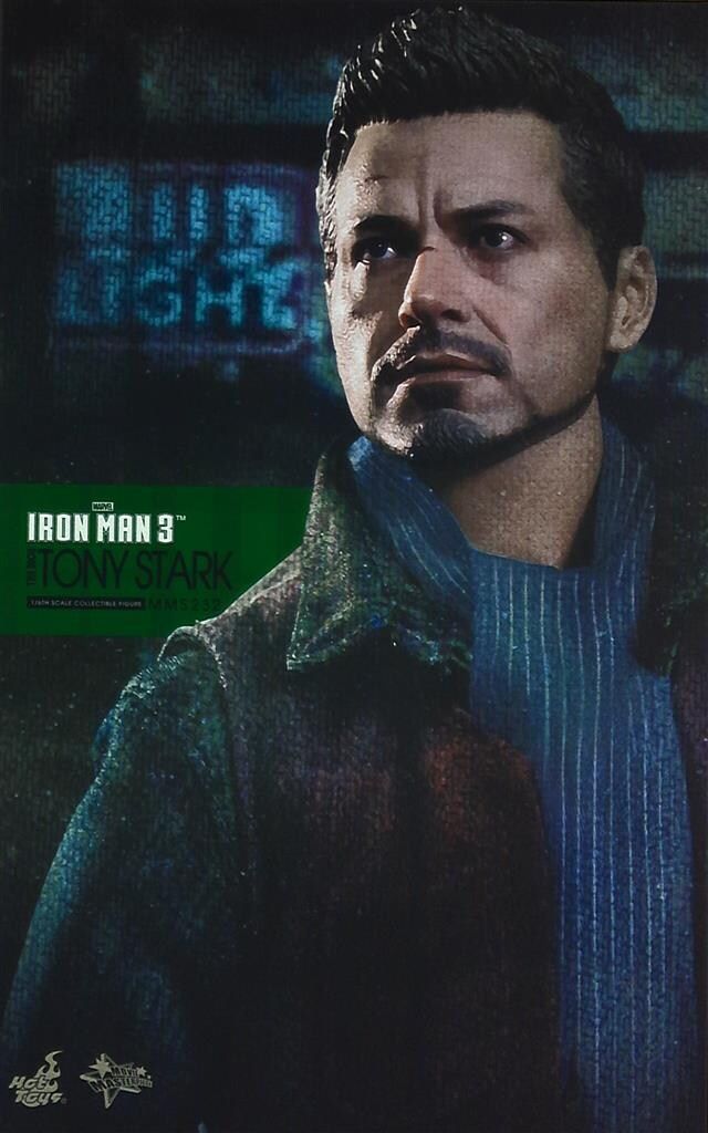 HOTTOYS MOVIE MASTERPIECE TONY STARK / ROSE HILL VER MMS232b