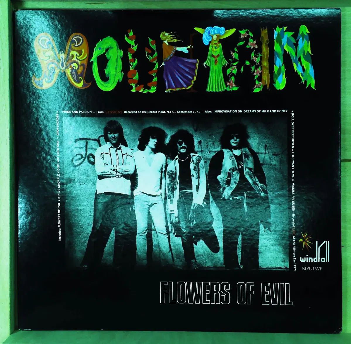Mountain Flowers Of Evil 日本 1972 年 LP