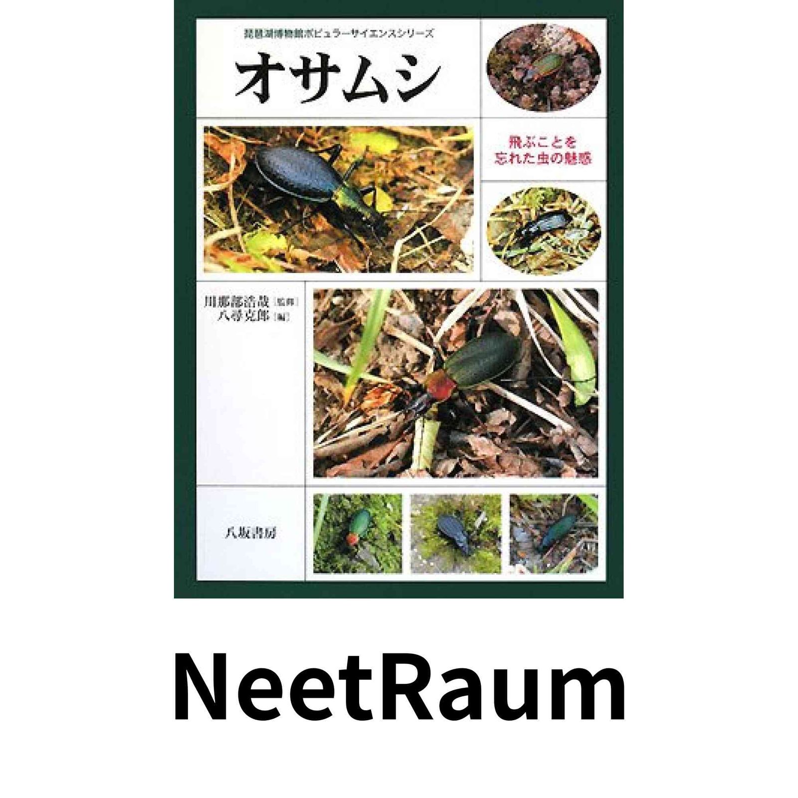 オサムシ: 飛ぶことを忘れた虫の魅惑 (琵琶湖博物館ポピュラーサイエンスシリーズ) 八尋 克郎