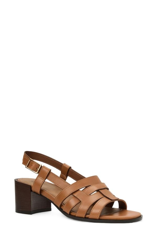 アクアタリア レディース シューズ ヒール サンダル Aquatalia Dimaro Weatherproof Slingback Sandal Honey Vanchette
